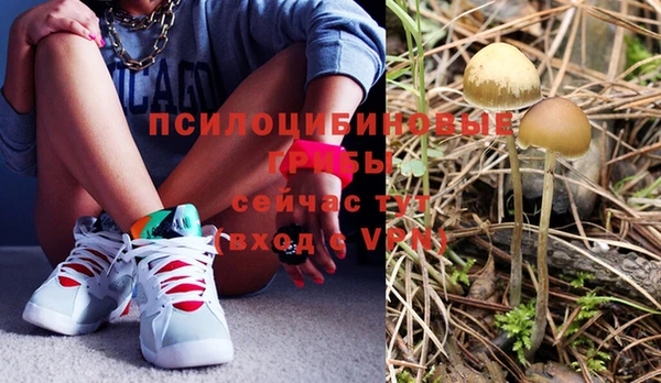 бутик Бородино