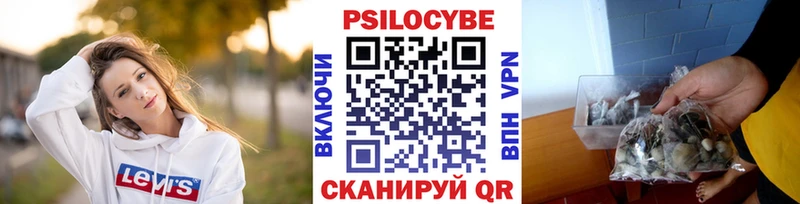 hydra ONION  где купить наркоту  Екатеринбург  Псилоцибиновые грибы GOLDEN TEACHER 